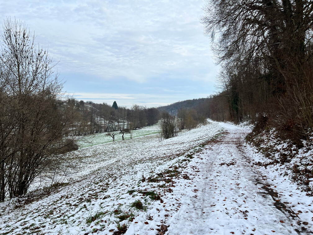 22-12-19 13-48-03 3637